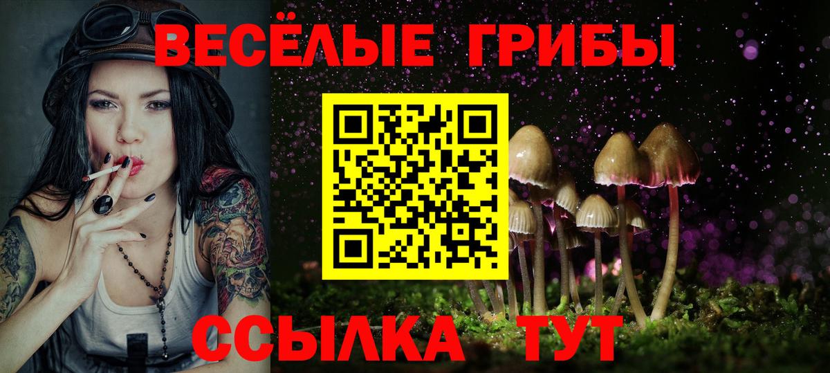 Мытищи  Галлюциногенные грибы мухоморы  Вход с VPN 