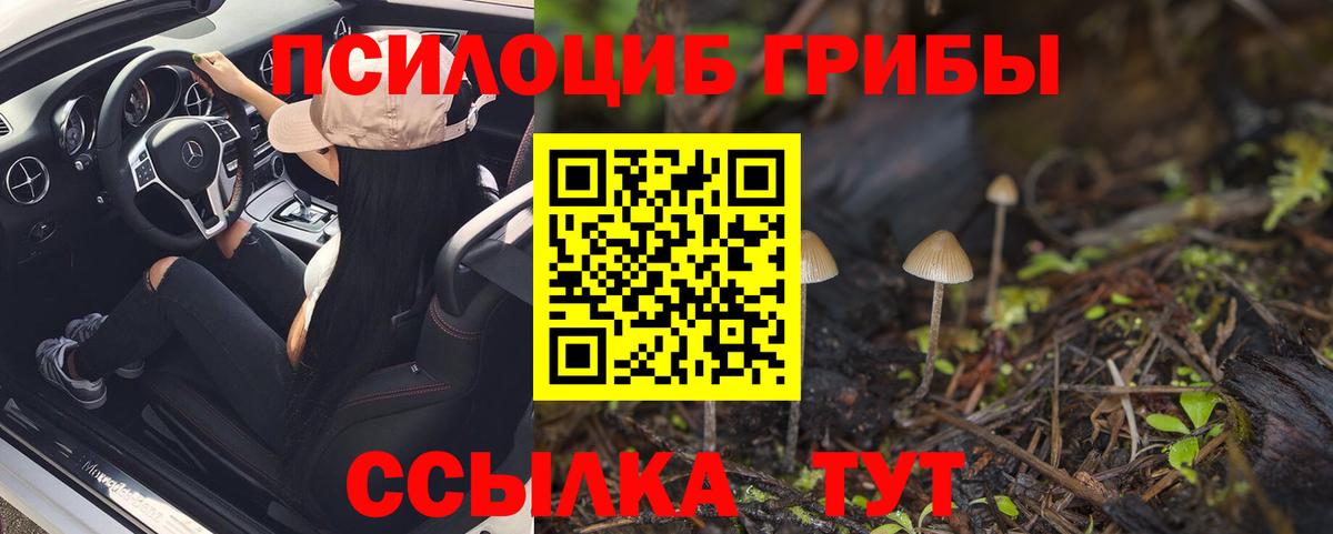 Псилоцибиновые грибы мухоморы Мытищи
